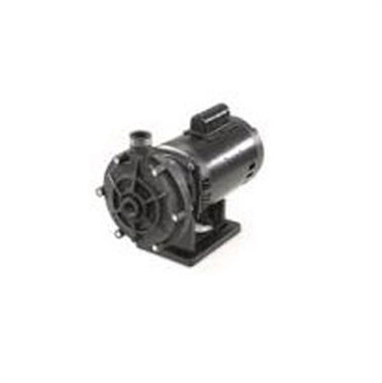 Polaris Pump Hose 3'