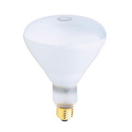 Replacement Pool Light Bulb 300W Flood R-40 - 130V