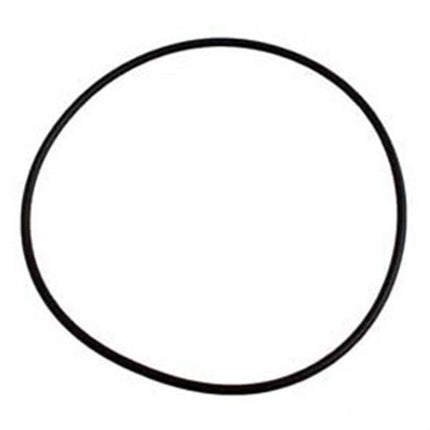Sta-Rite Dura-Glas Seal Plate O-Ring
