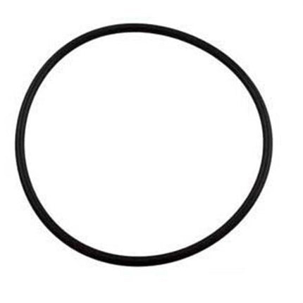 Sta-Rite O-Ring PG-MP