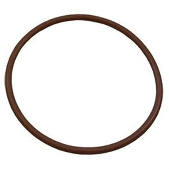 Waterway Chlorinator O-Ring